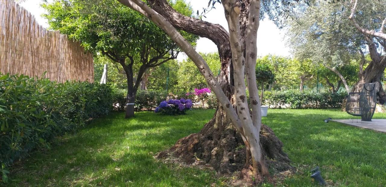 Villa Federica Con Piscina/With Pool Santa Maria Del Focallo Εξωτερικό φωτογραφία